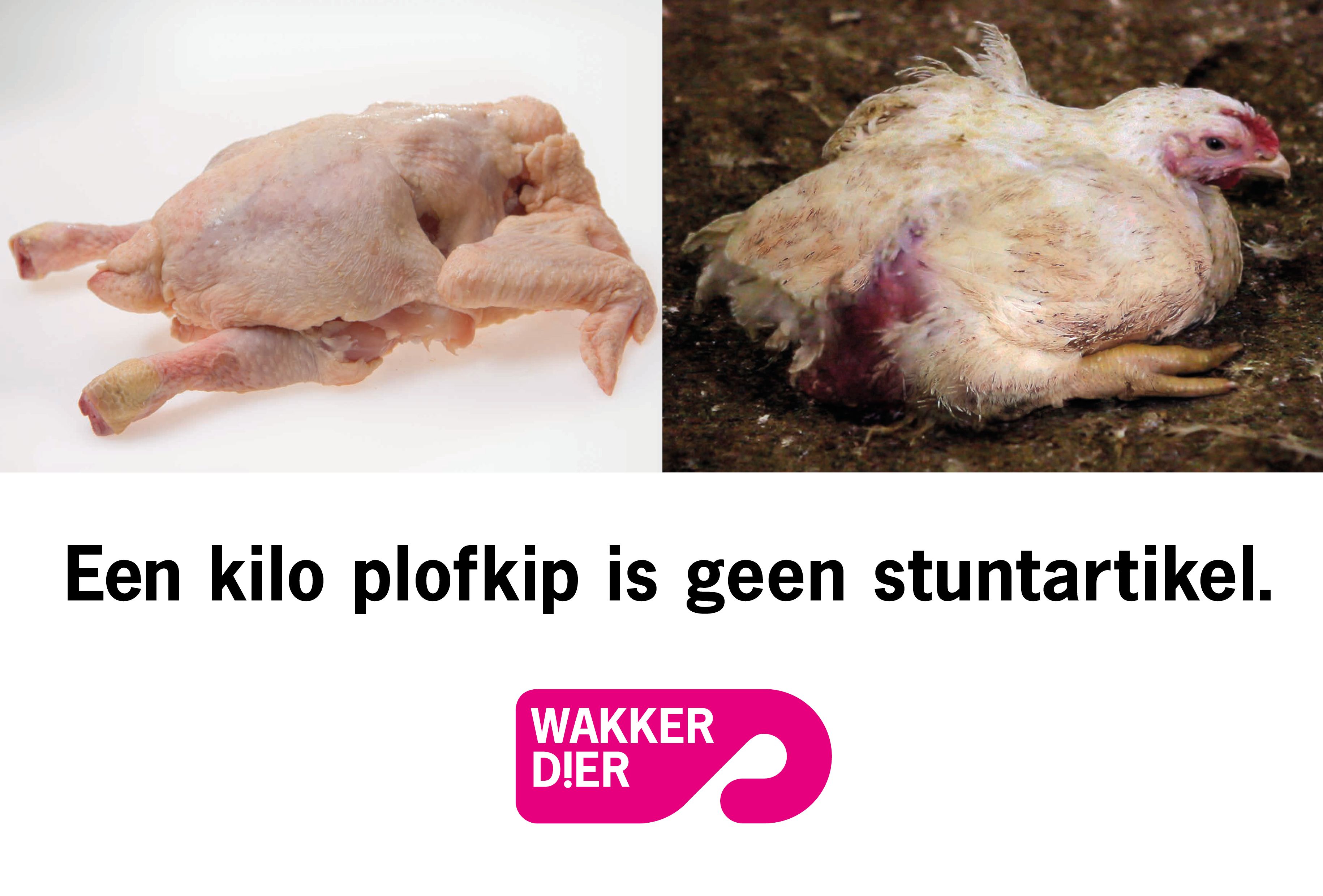Effie_17_Hoe de plofkip uitsterft in de supermarkt.jpg