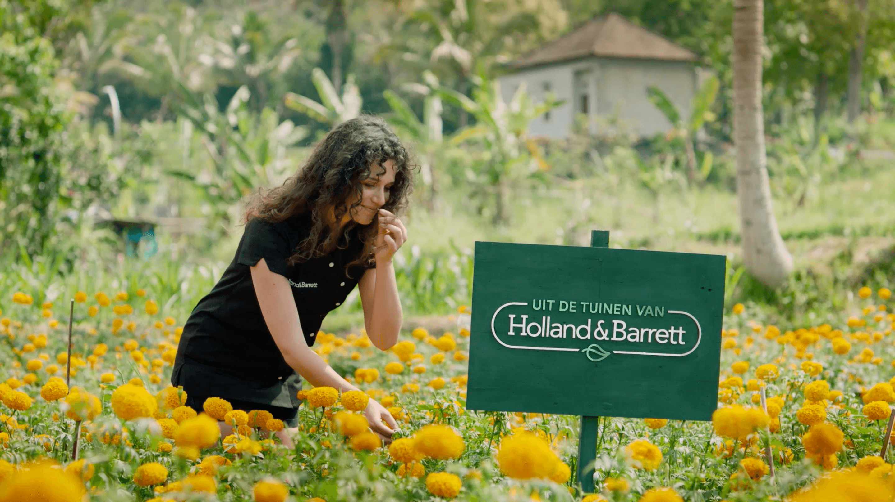 Effie_20_Uit de tuinen van Holland & Barrett; een merk- en productbelofte in één..png